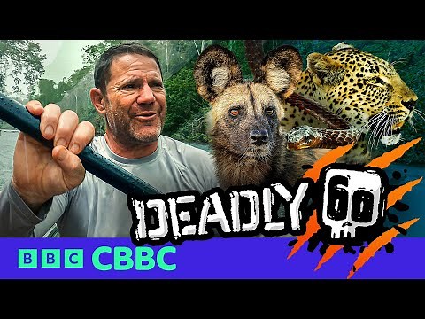 NEW: Deadly 60 | Official Trailer | Watch now on BBC iPlayer | CBBC