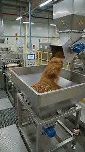 See How Tobacco Becomes Cigarettes | Cigarette Manufacturing Process
