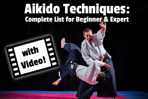 Aikido Techniques: Beginner, Intermediate & Advanced