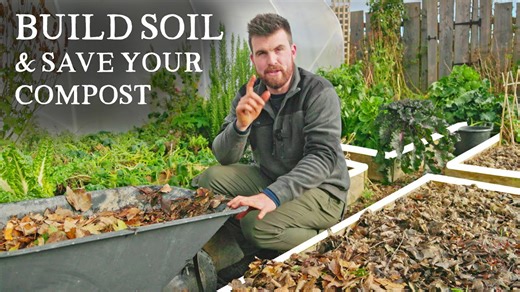 How to prepare garden beds for winter (without using compost)