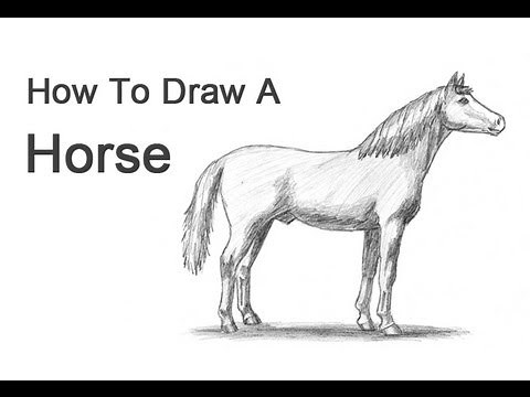 How to Draw a Horse
