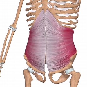 🚫 Harder exercises aren't always better... ✅ Physical Therapist demonstrates 10 core exercises that are simple and effective at tightening the waistline and stabilizing the spine. | WeShape