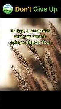 Turn Crisis Into Opportunity - Why Your Worst Days Are Your Best Assets.