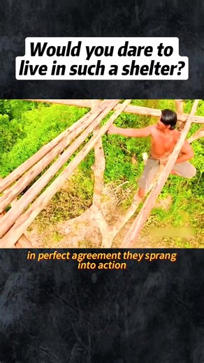 A rustic tree house crafted from wood and bamboo #rustic #treehouse #wood #bamboo | Lee Yumi