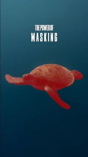 The Hidden Lightroom Feature You NEED To Use