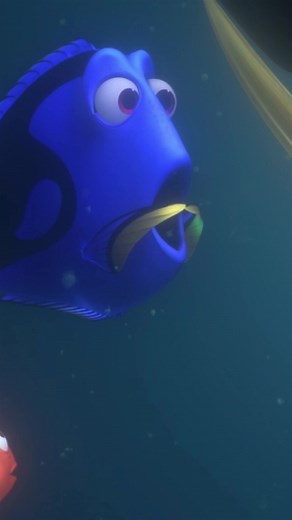 Finding Nemo Address in Sydney: P. Sherman 42 Wallaby Way