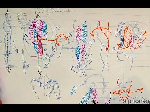 How to Draw Human Anatomy Part 1 | Beginner Introduction