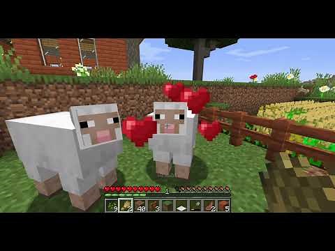 How to tame and breed sheep in Minecraft? / How to breed sheep in Minecraft? EASY METHOD!!!