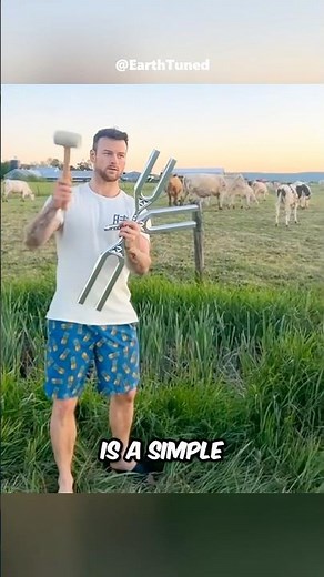 Tuning Fork Explained