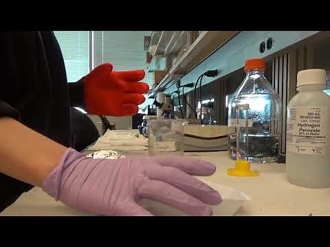 Microplastic Processing Protocol