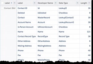 How to Report on Objects and Fields Defined in Salesforce