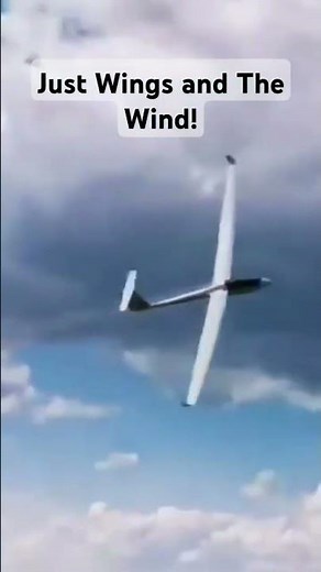 Unbelievable Glider Flyby and Soaring Action | Epic Low Pass & Sky Gliding Cinematics