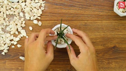 10 Creative DIY Planters - How To Make A Planter