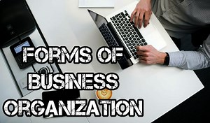 Forms of Business Organization (With Advantages and Disadvantages)