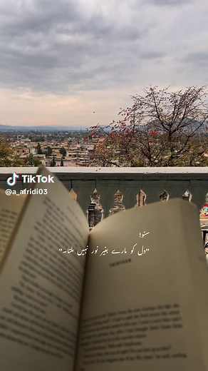 Exploring Beautiful Quotes in Winter Vibes