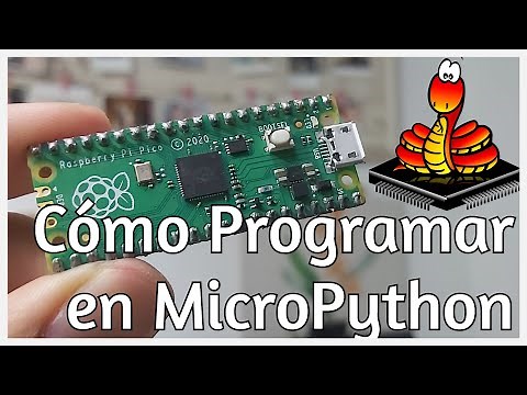 Raspberry Pi Pico en Español || Primera Programación || Micropython 1