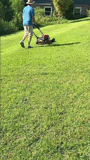 How to Mow Lawn Stripes The Right Way