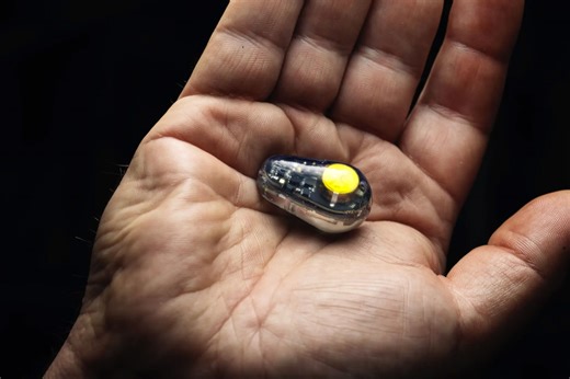 Fishing with Bluetooth: Is the Probe a Revolutionary Tool or Just Another Fishing Gimmick?