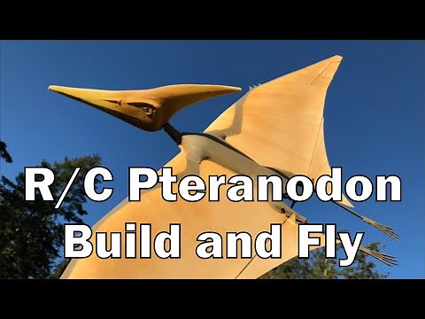 RC Pteranodon Build and Fly