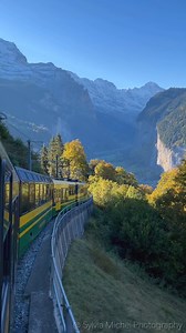 57K views · 10K reactions | Before heading off to Hotel & Restaurant Waldhaus Bettmeralp, I wanted to briefly catch a few autumn moments in my region. It is often a question of the right timing whether you have good light or not. In this video I have recorded you the same place in different light moments. It's exciting to see how different the sequences work! Have a great day! Video Sylvia Michel Photography Rasta | Sylvia Michel Photography | Facebook