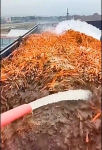 16K views · 48 reactions | Amazing Viral Video Million Views Top Trending | Creative Expression HACKS | Facebook