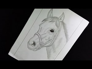 How To Draw A Horse Step By Step For Beginners || Easy Pencil Drawing Of A Horse