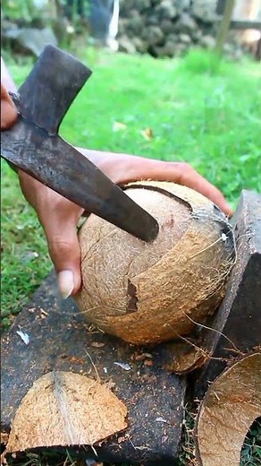 Technique for removing dry coconut from its shell