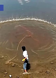 16K views · 82 reactions | How To Catch Fish With Cast Net_Catching Fish Is Beautiful | Pets US | Facebook