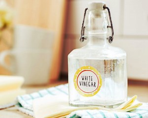 How to Clean My Humidifier Wick Filter With Vinegar?