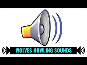 WOLF HOWLING - Sound Effect