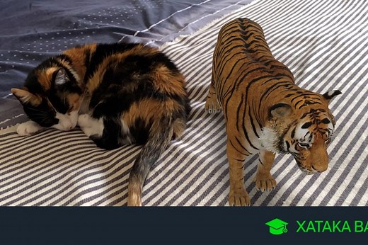 Animales 3D de Google: cómo usarlos para meter un tigre, un tiburón o un lobo en casa