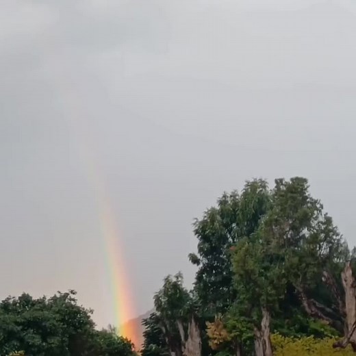 tegu 12 (@tegu.127)’s videos with original sound - tegu 12