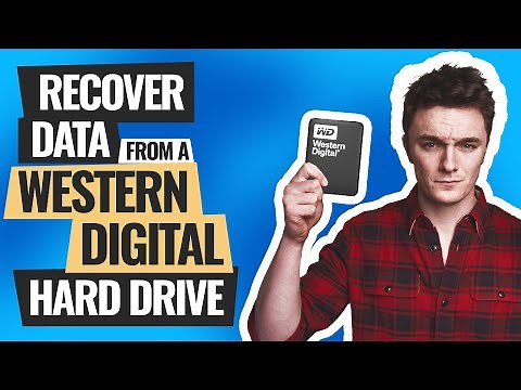 Recover Data from Western Digital External Hard Drive: 96% Success Rate