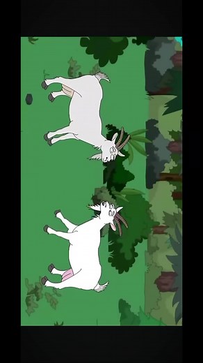 Hilarious Anecdotes and Funny Stories