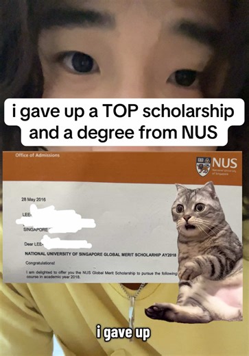 why I walked away from a top scholarship and a degree from the National University of Singapore. this decision made no sense to most people. just because a door is golden doesn’t mean you should walk through it. academic knowledge is cheap. insights, intuition, and wisdom aren’t, and that’s what AI can’t replace. #singapore #sgtiktok #university #education #parenting