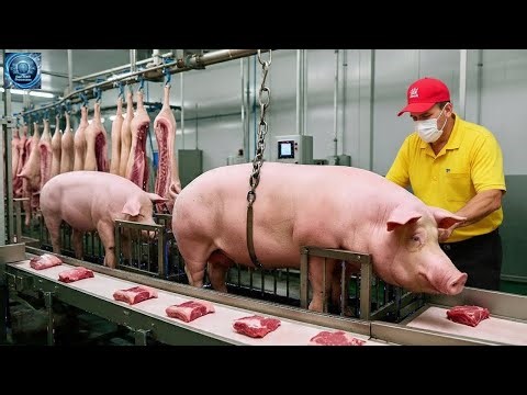 Inside the Pork Processing Factory: From Farm to Sausages & Ham (Full Process