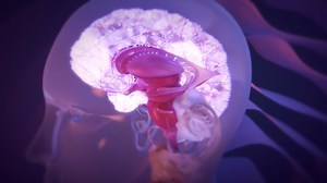 Alpha-Stim CES (cranial electrotherapy stimulation) is a form of non-invasive brain stimulation that applies a patented, low-amplitude waveform to the brain via earclip electrodes. Psychiatric disorders, such as anxiety and insomnia, are associated with alterations in electric activity in large-scale brain networks. See how CES works in this quick video, then visit https://bit.ly/3uifaJ5 to learn more. | Alpha-Stim | Facebook