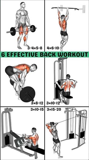 Top 6 Effective Back Workout to Build Powerful Back Muscle #workout #backworkout