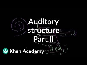 Auditory structure - part 2 | Processing the Environment | MCAT | Khan Academy