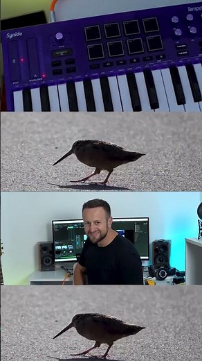 Meep Woodcock song #meme #memes