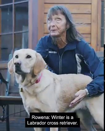 3.1K views · 301 reactions | Hear what our guide dog owners have to...