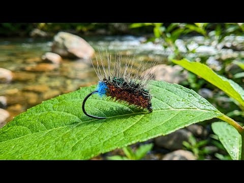 Shota's Paraloop Crackleback Variant Dry Fly Pattern. How to tie. Fly tying tutorial.
