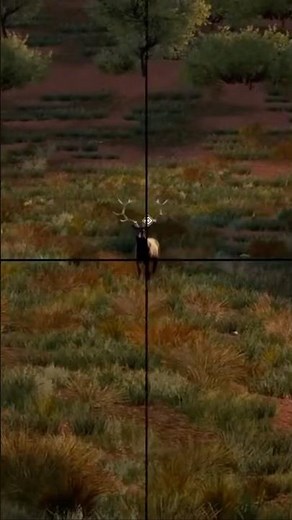 Uma caçada de UAPITI no deserto!! - Hunting Simulator 2 - PS4 - #16