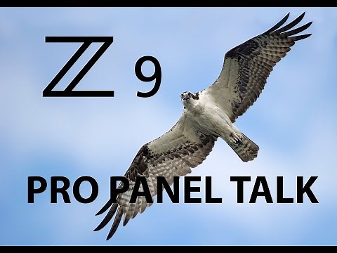 Nikon Z9 bird photography AF settings & custom function buttons