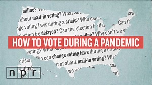 74K views · 311 reactions | Could the presidential election be delayed? Is there a nationwide vote-by-mail plan? Why can’t we vote online? NPR's Miles Parks has the answer to four major questions about how to vote during the coronavirus pandemic. | NPR | Facebook