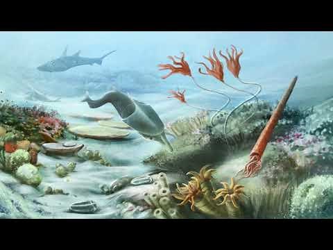 History of the Earth Part 2: Phanerozoic Eon – Paleozoic Era
