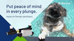 386K views · 66 reactions | Everyone deserves the clearest water—pool sanitizers from Pentair deliver. So everyone splashes clean and clear. | Pentair | Facebook
