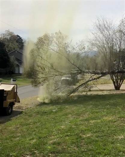 1.9M views · 15K reactions | I've never seen so much pollen in my life! 蠟 | Lessons Learned In Life | Facebook