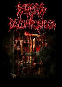 Stages Of Decomposition - Stages Of Decomposition