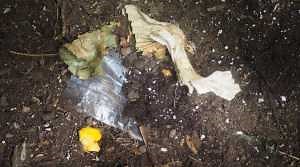 MSU School of Packaging researchers make a sustainable plastic more compostable